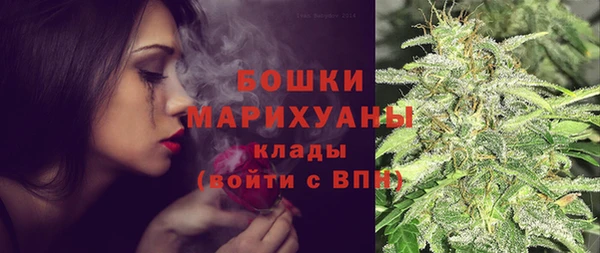 мет Новозыбков