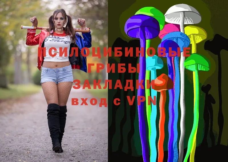 Псилоцибиновые грибы Psilocybine cubensis  Нахабино 