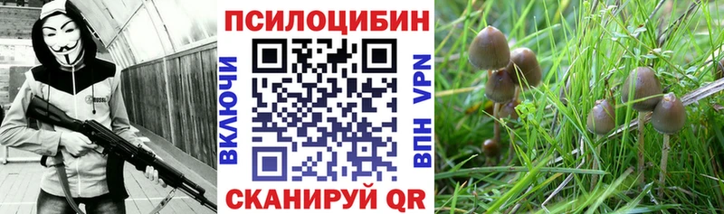 Псилоцибиновые грибы MAGIC MUSHROOMS  Нахабино 